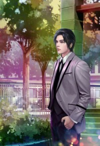 总裁与律师
