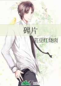 碎片